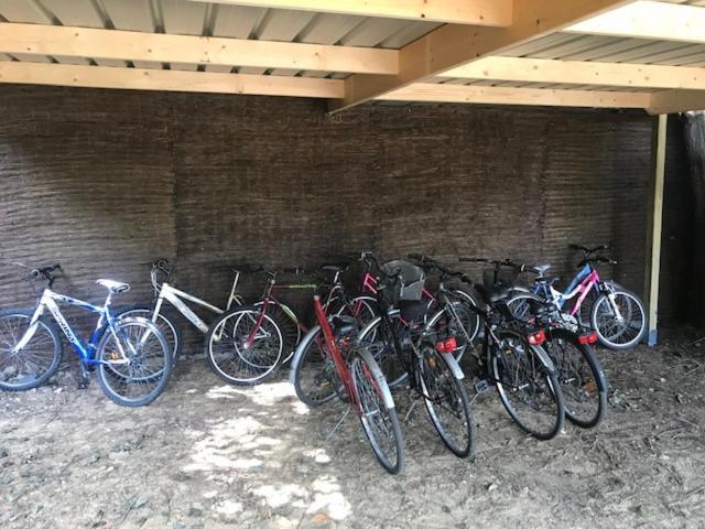 Ferienhaus Du Moulin A Tan A 37 Saché